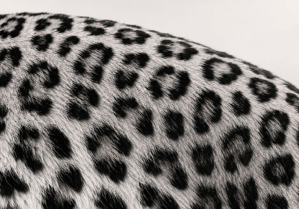 Leopard Pattern