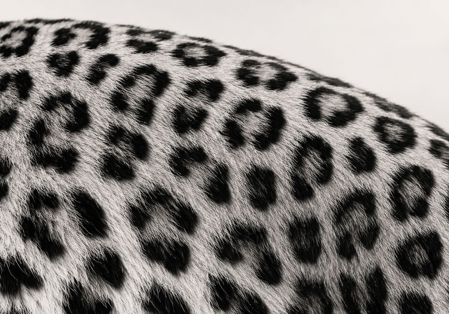 Leopard Pattern