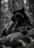 The Black Panther