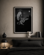 Barn Owl at Night