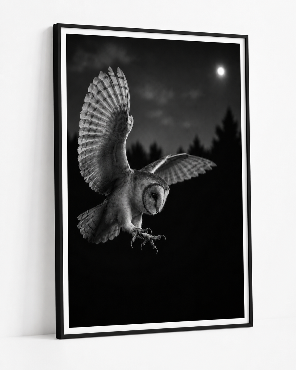 Barn Owl at Night