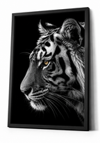 The Bengal Tiger