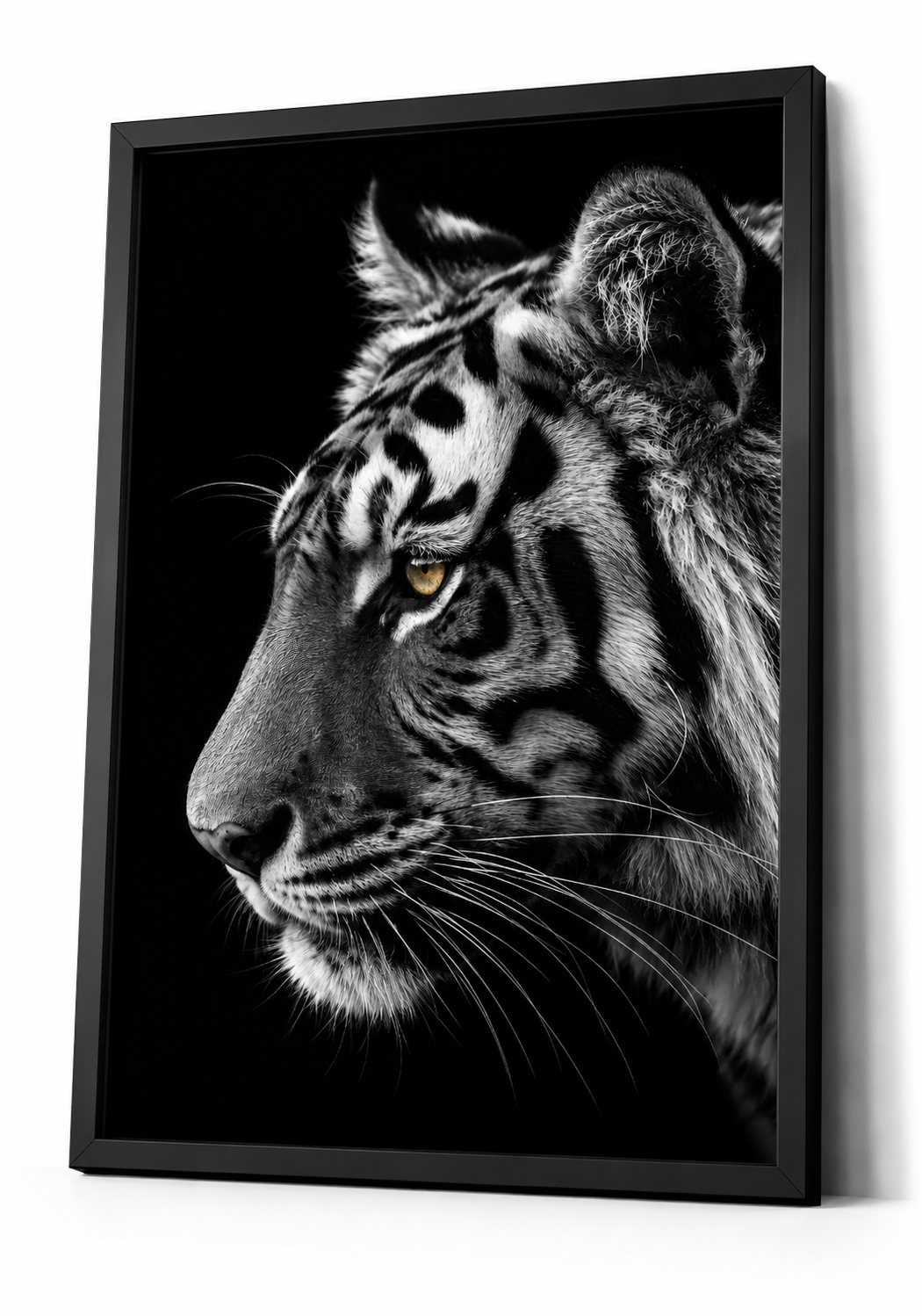 The Bengal Tiger