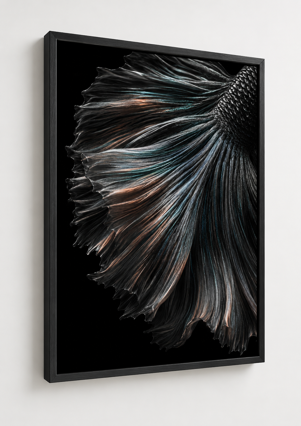 A Floating Veil (Betta Fish)