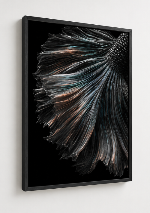 A Floating Veil (Betta Fish)