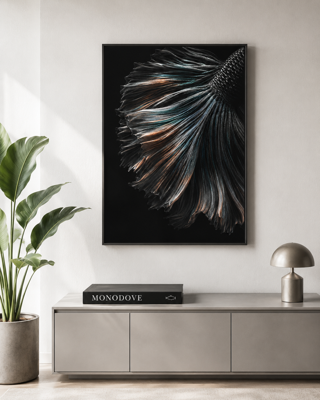 A Floating Veil (Betta Fish)