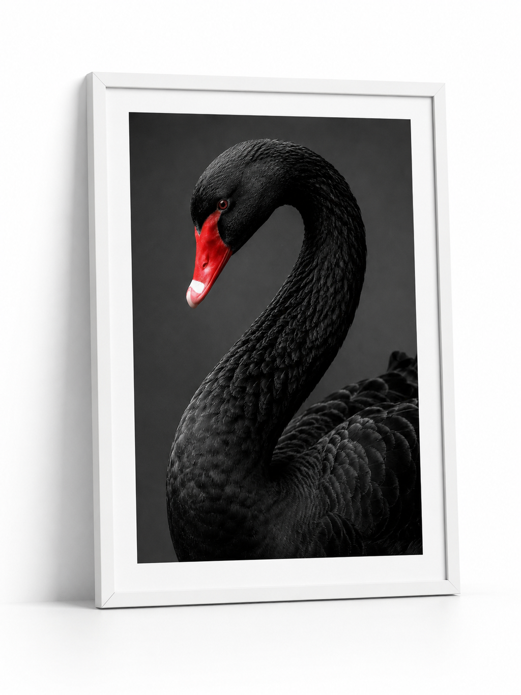 The Black Swan
