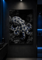 The Blue Ringed Octopus