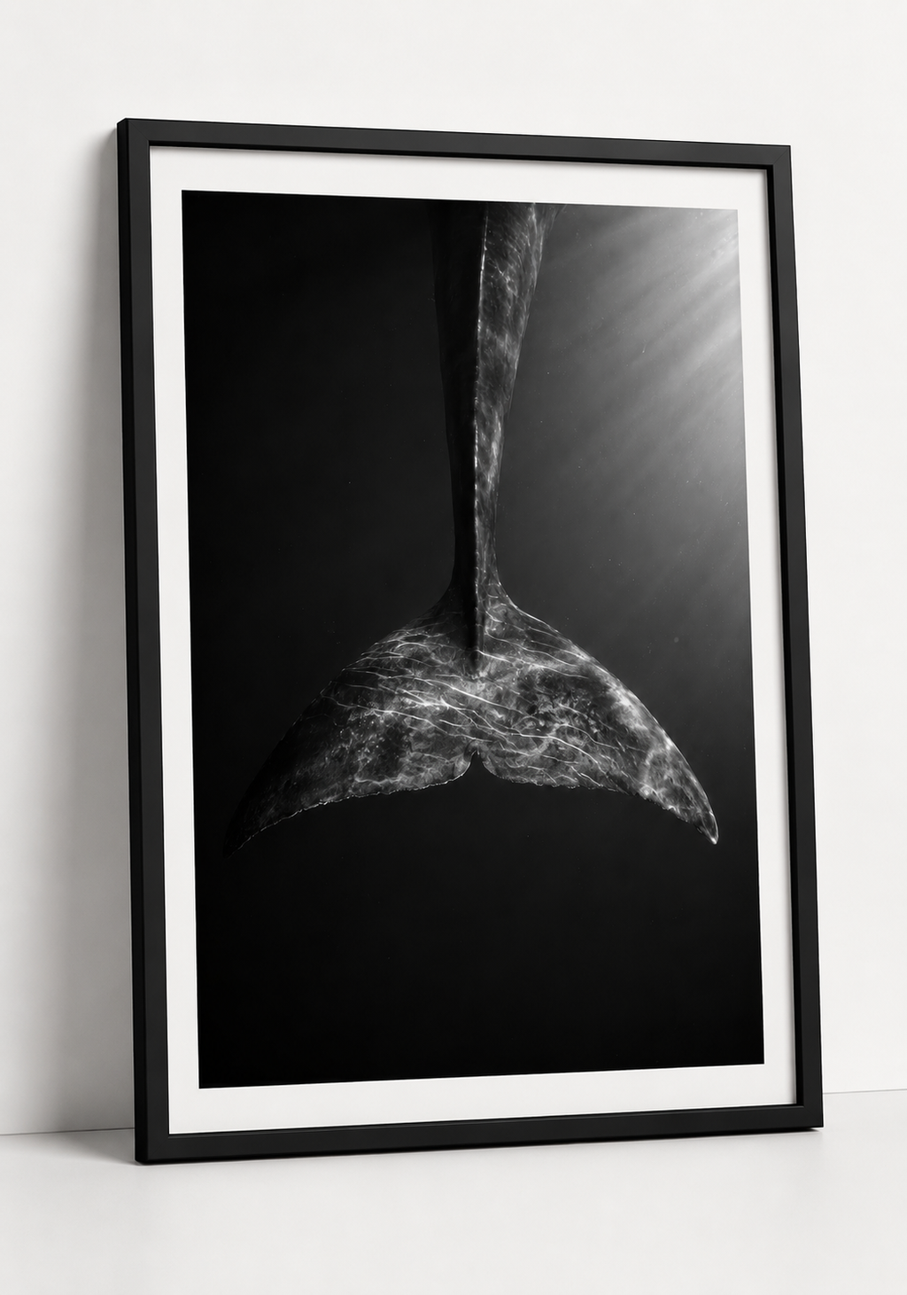 Tail of the Blue Whale
