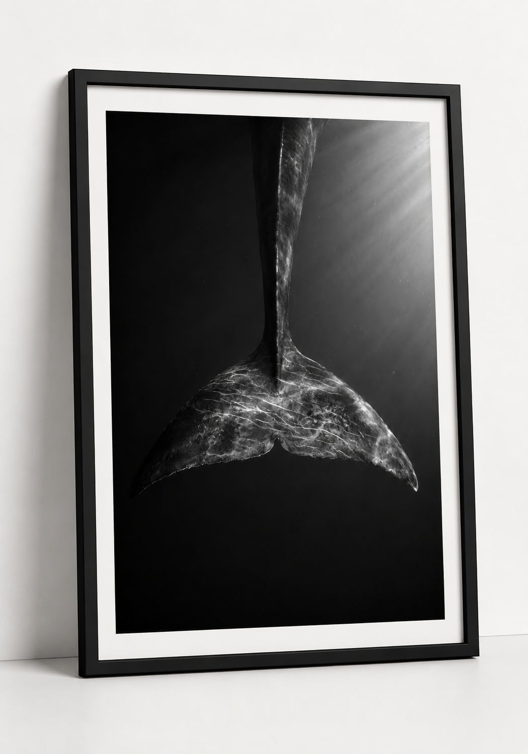 Tail of the Blue Whale