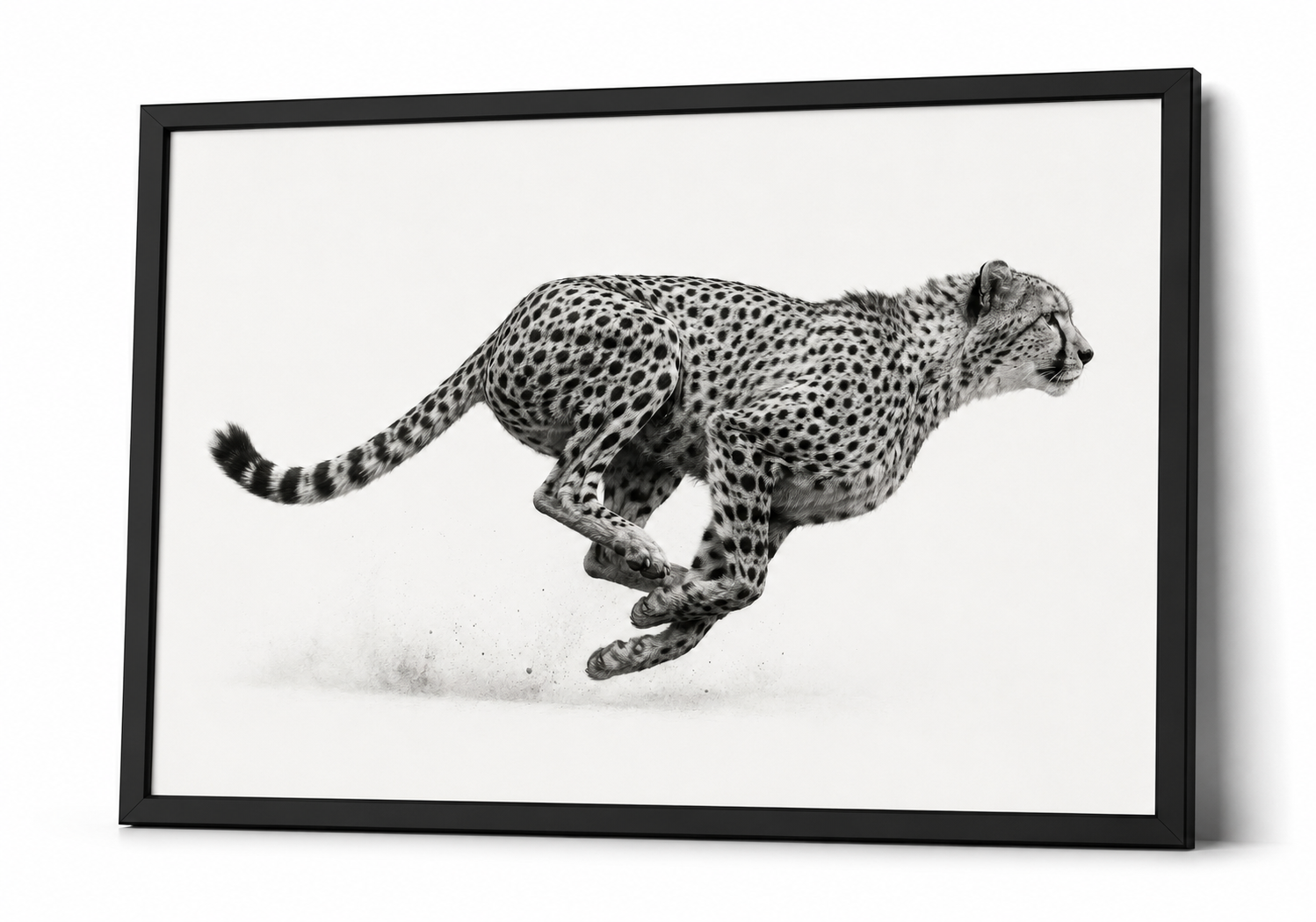 The Cheetah in Motion
