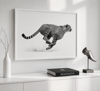 The Cheetah in Motion
