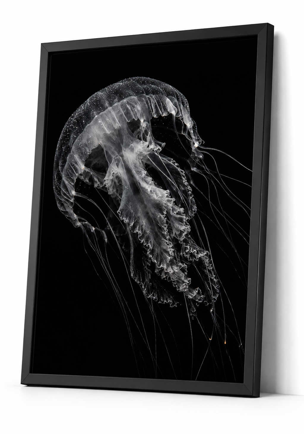Deepstaria Jelly