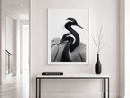 Demoiselle Cranes Together