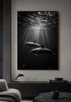 Dolphins Beneath the Surface