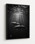Dolphins Beneath the Surface