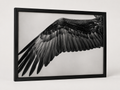 The Eagles Wing