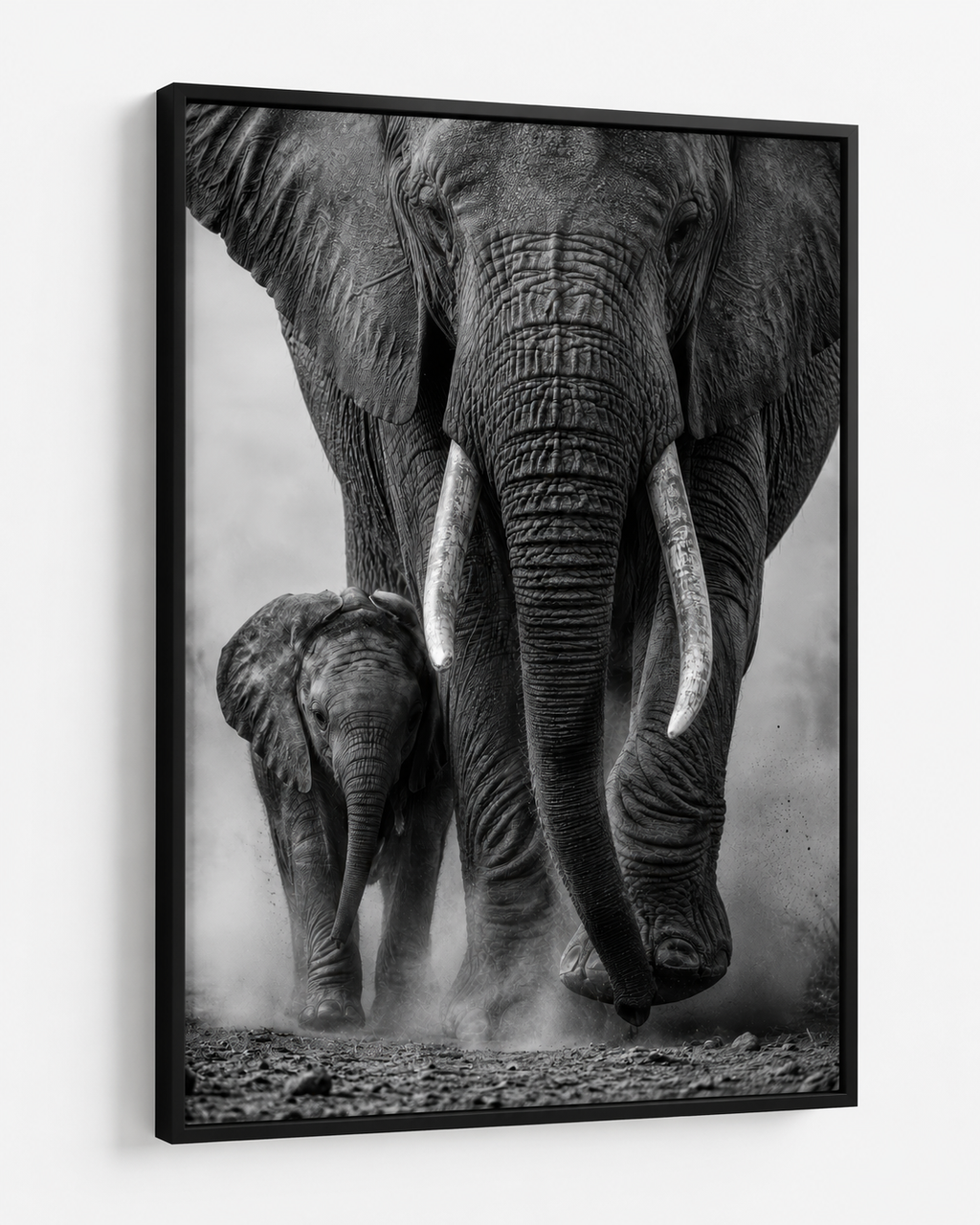 Elephants Together