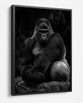 The Silverback Gorilla