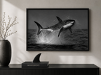 The Great White Shark Breach