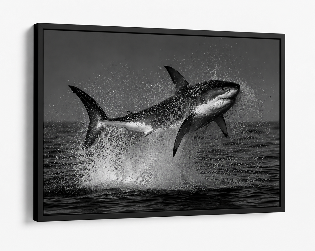 The Great White Shark Breach