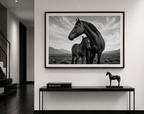 Wild Horses Together
