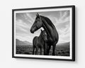 Wild Horses Together