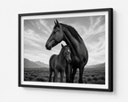 Wild Horses Together