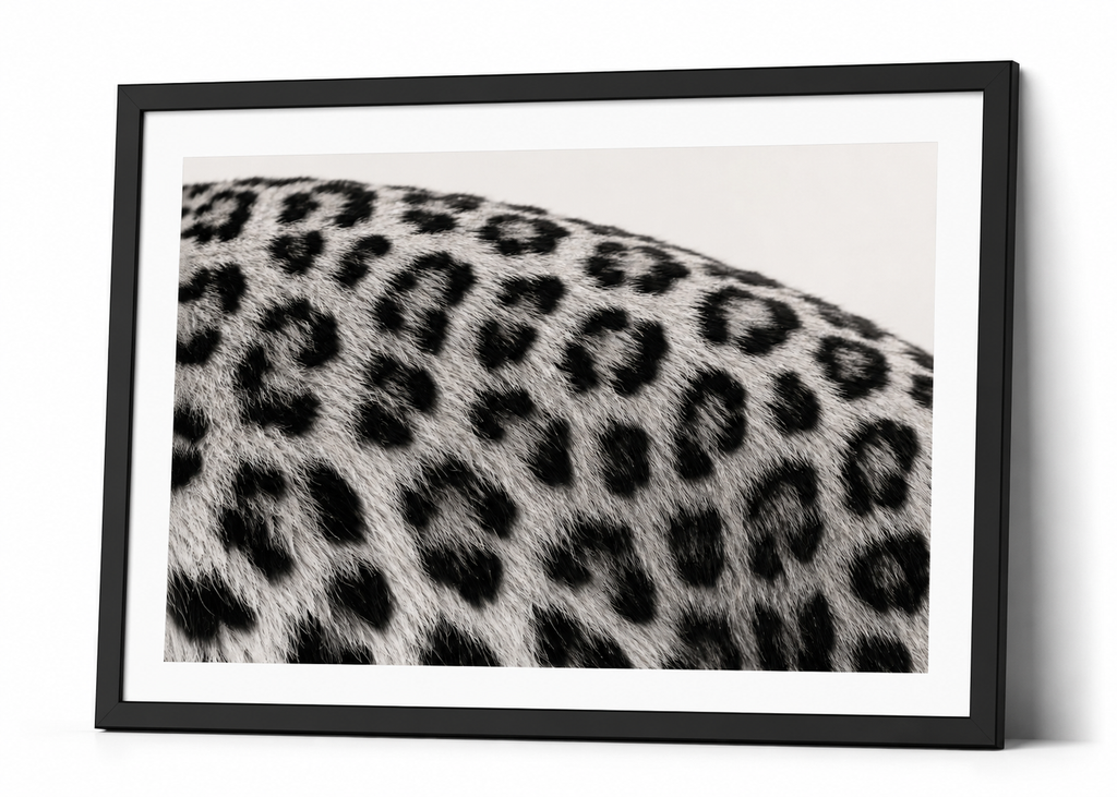 The Leopard Pattern