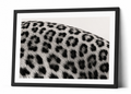 The Leopard Pattern