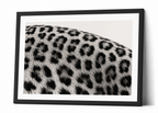 The Leopard Pattern