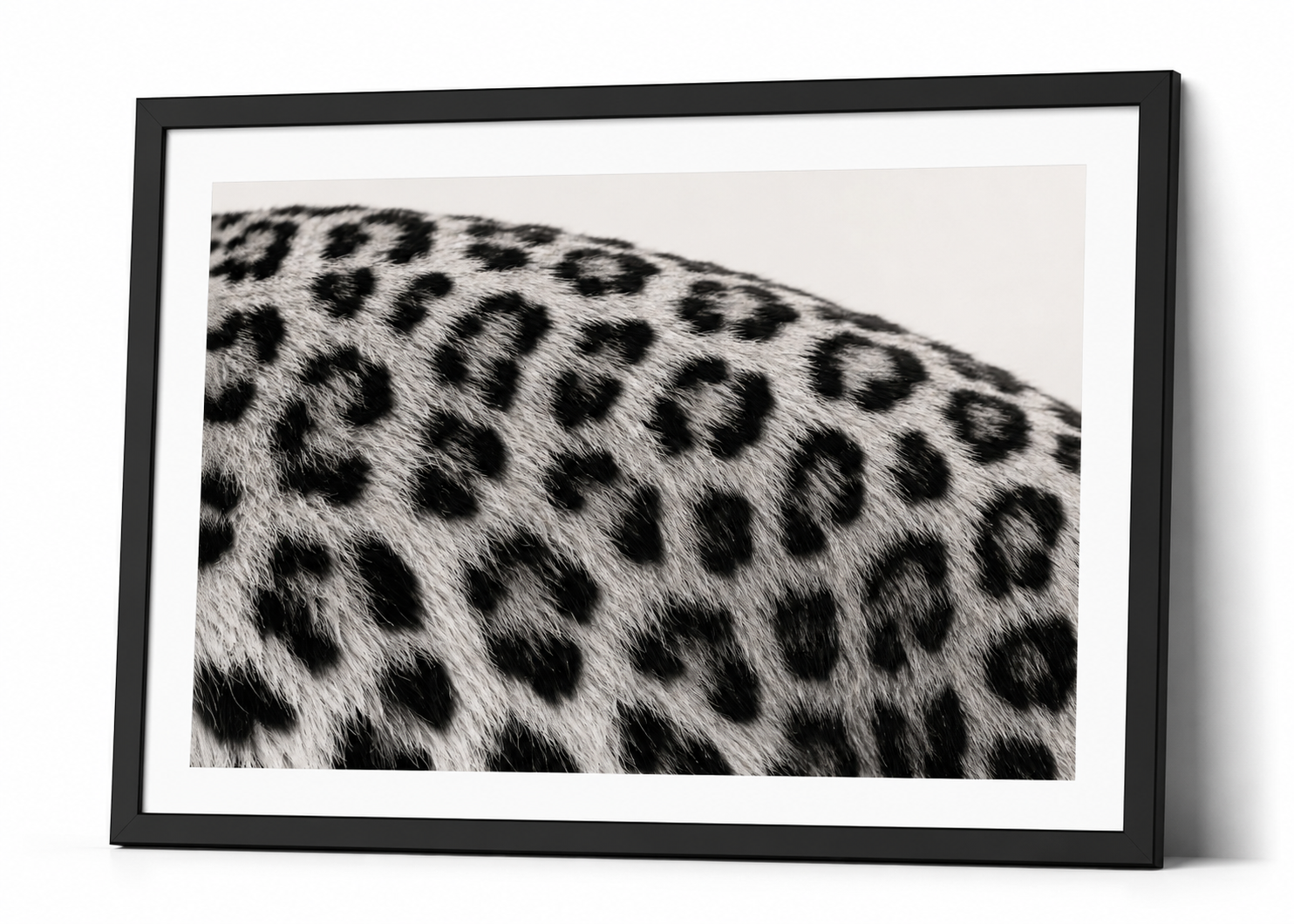 The Leopard Pattern