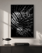 The Lionfish Pattern