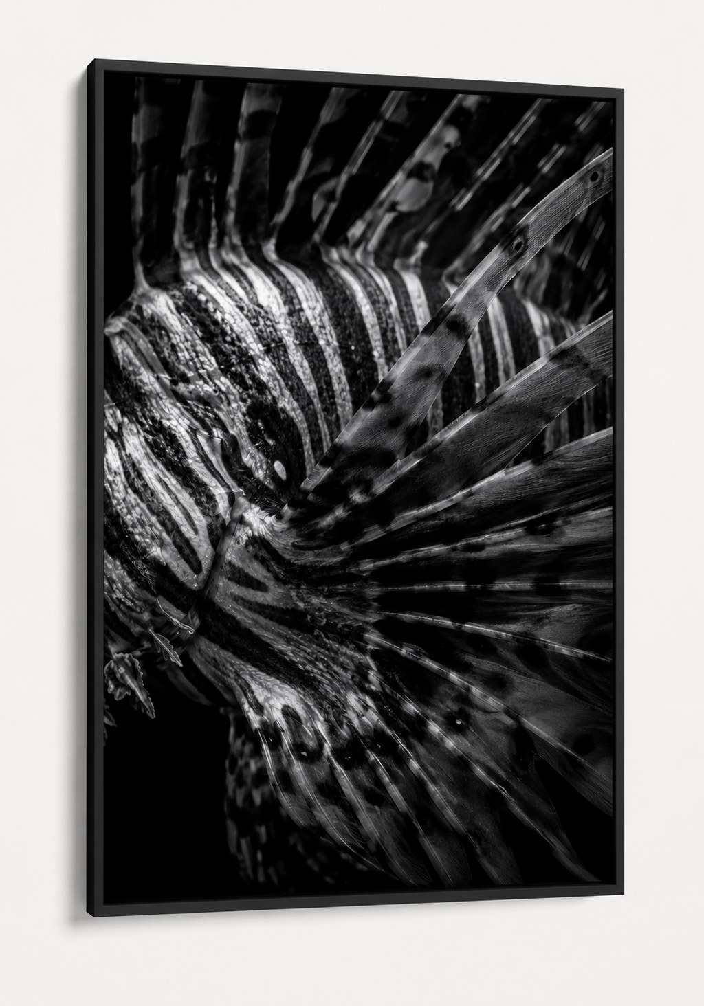 The Lionfish Pattern