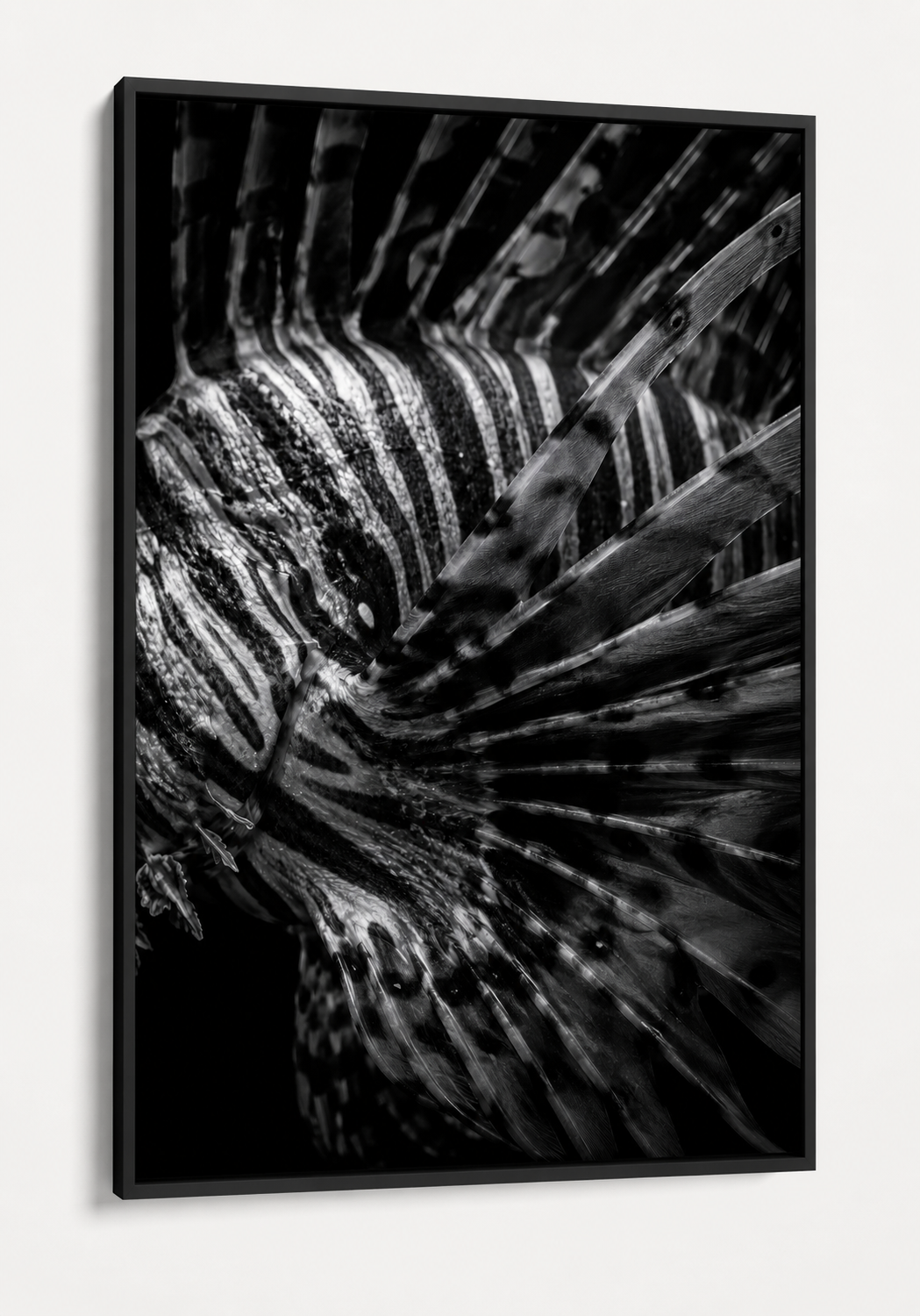 The Lionfish Pattern