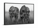 Lionesses Together