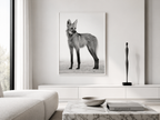 The Maned Wolf