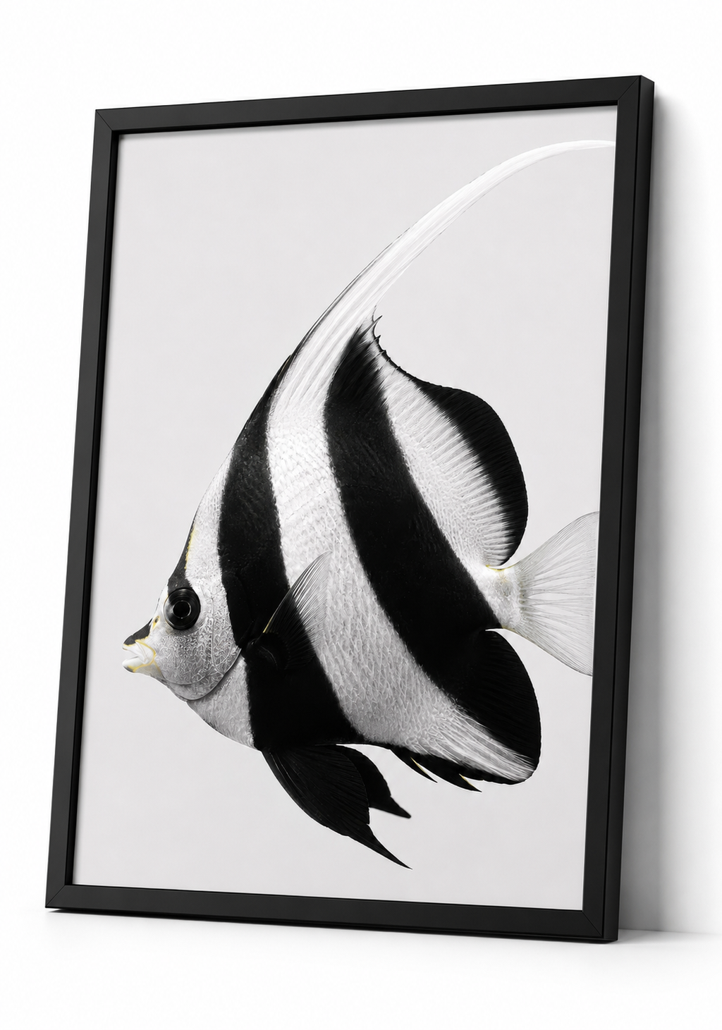 The Moorish Idol