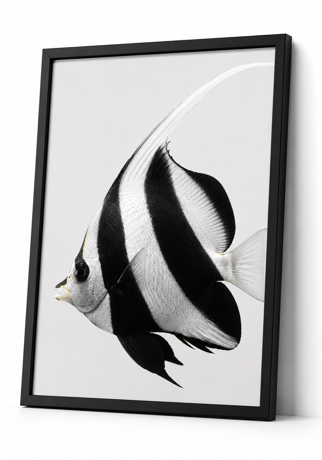 The Moorish Idol