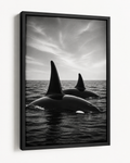 Orcas on the Surface