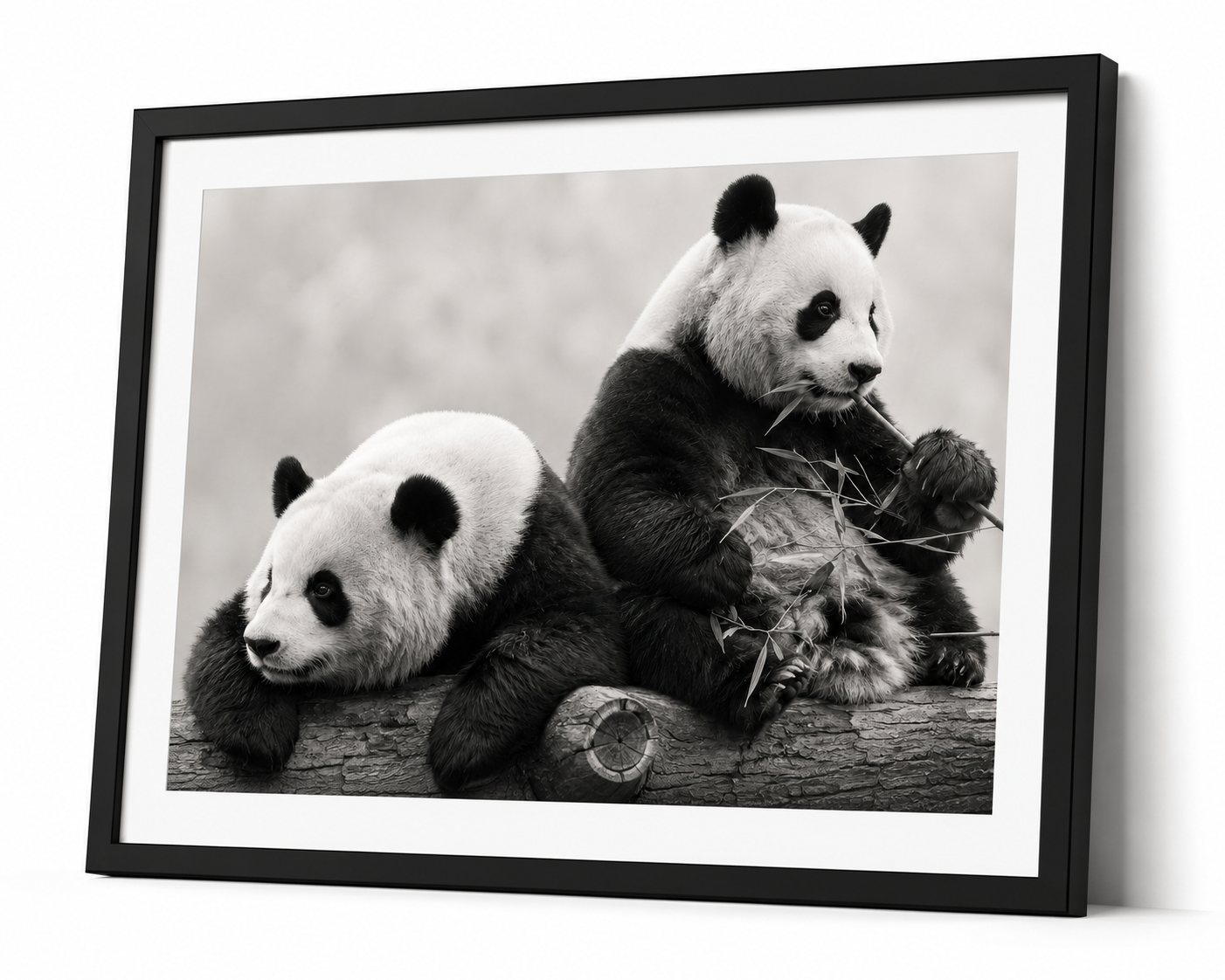 Great Pandas Together