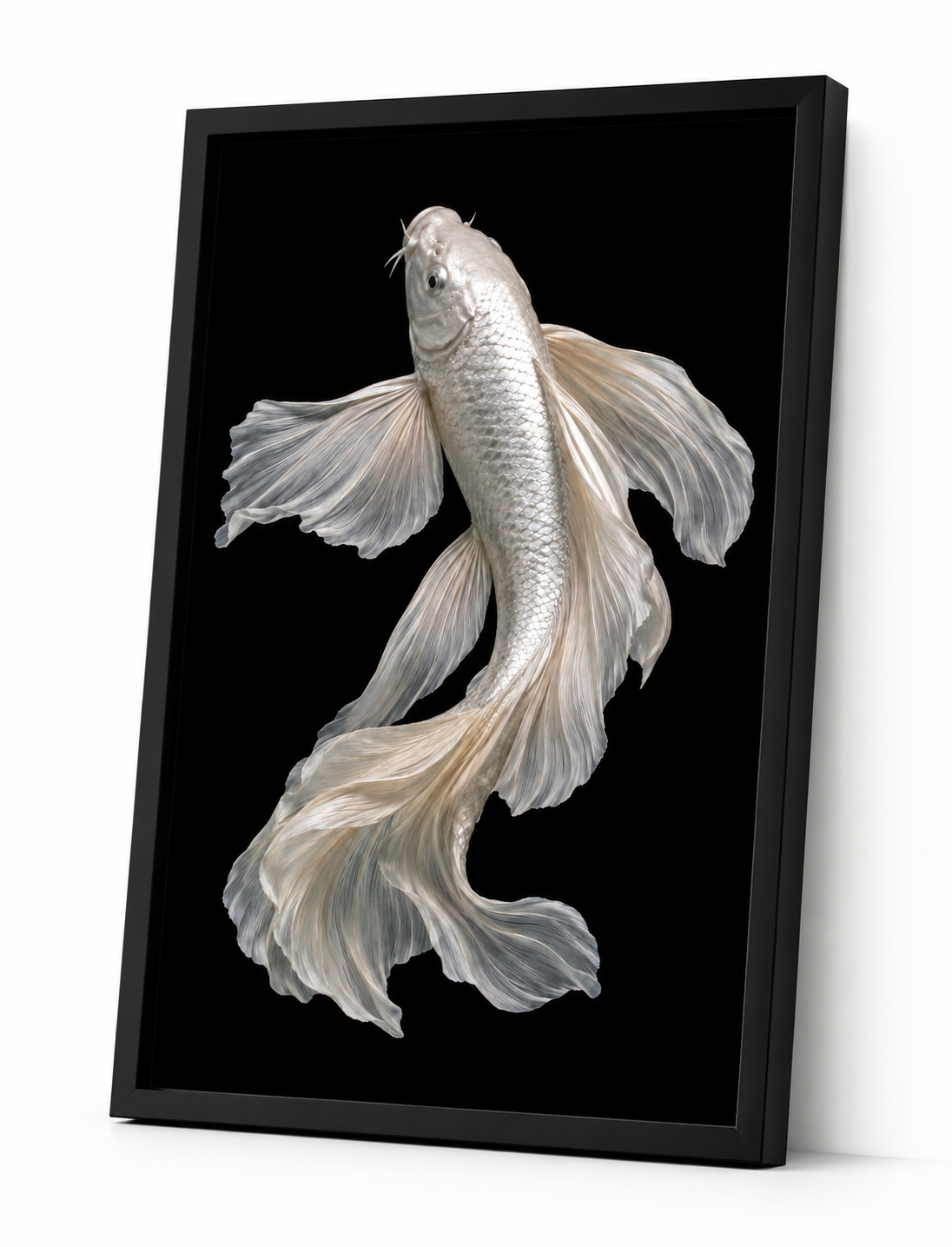 The Platinum Koi (Upstream)