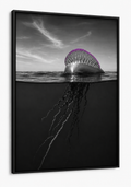 The Portuguese Man O' War