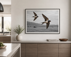 Swallows in Flight
