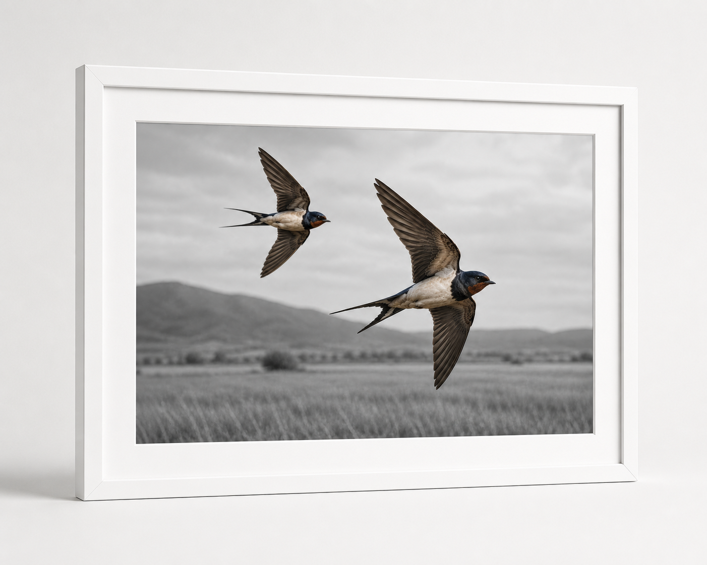 Swallows in Flight