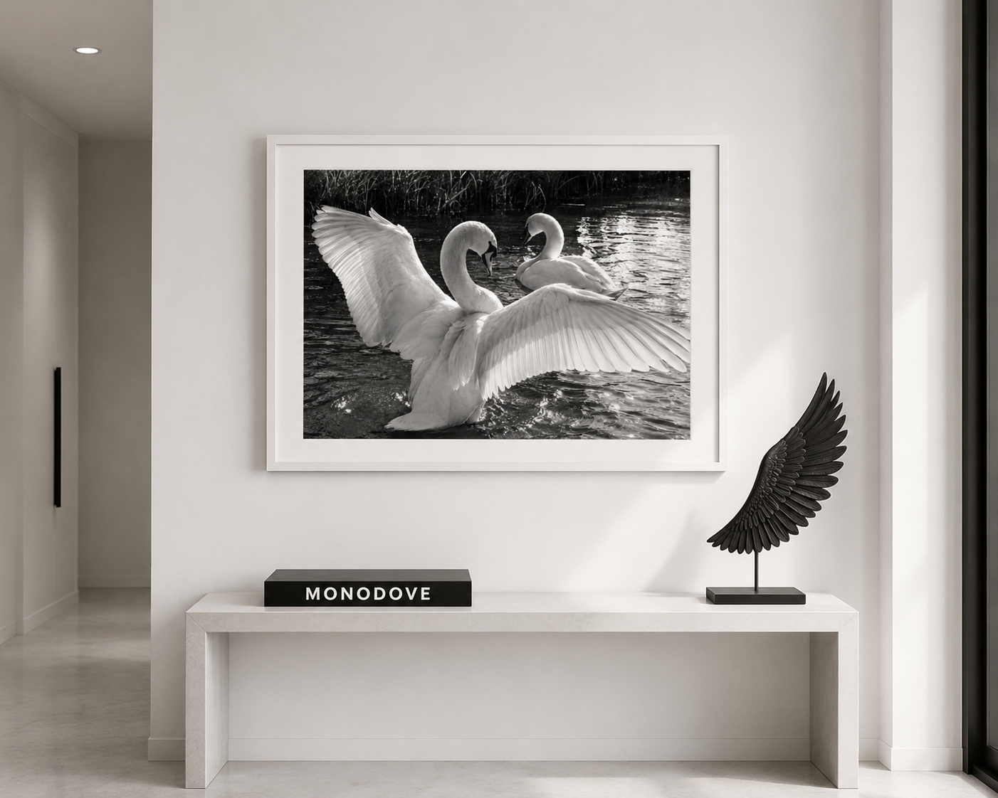 Swans Busking in the Sunlight