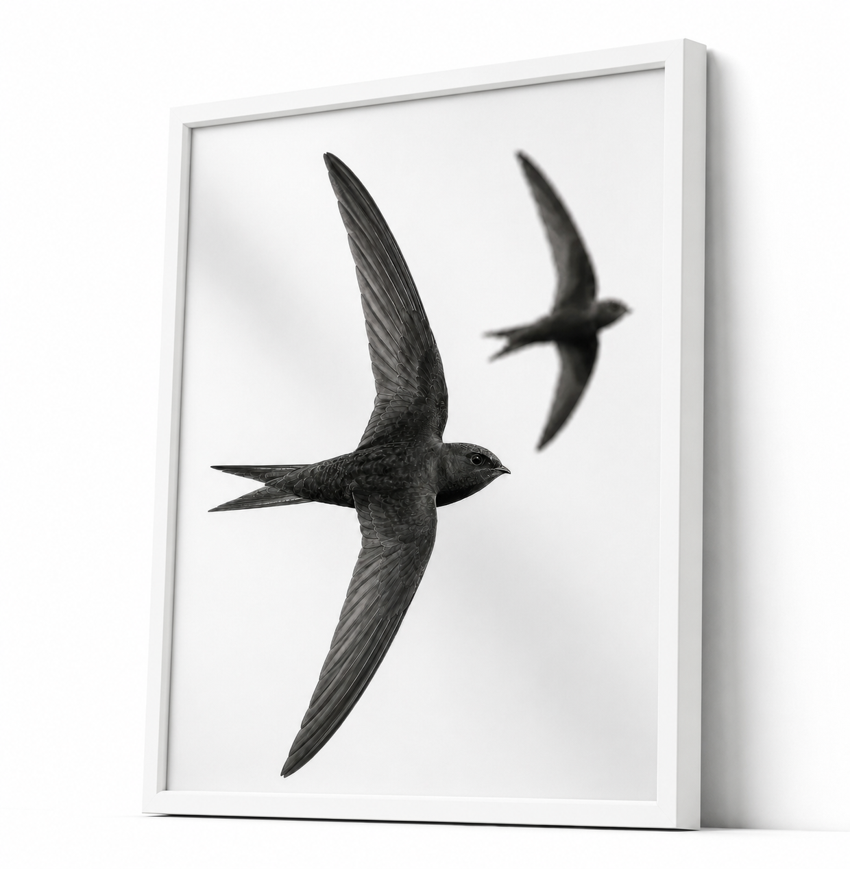 Swifts Together