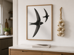 Swifts Together
