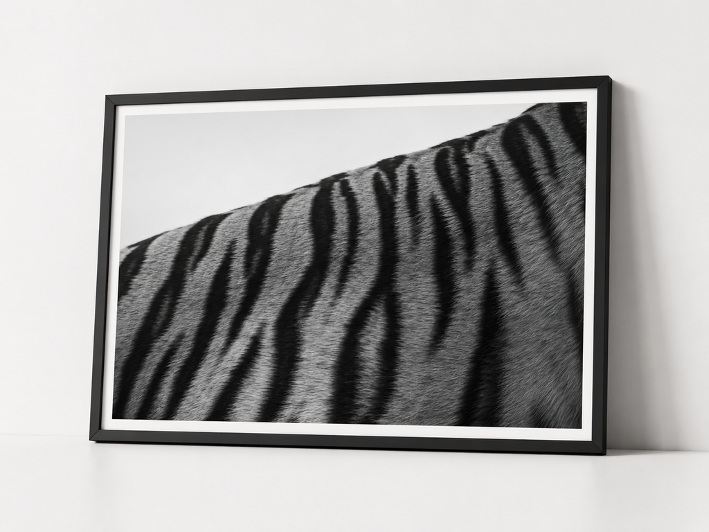 The Tigers Pattern