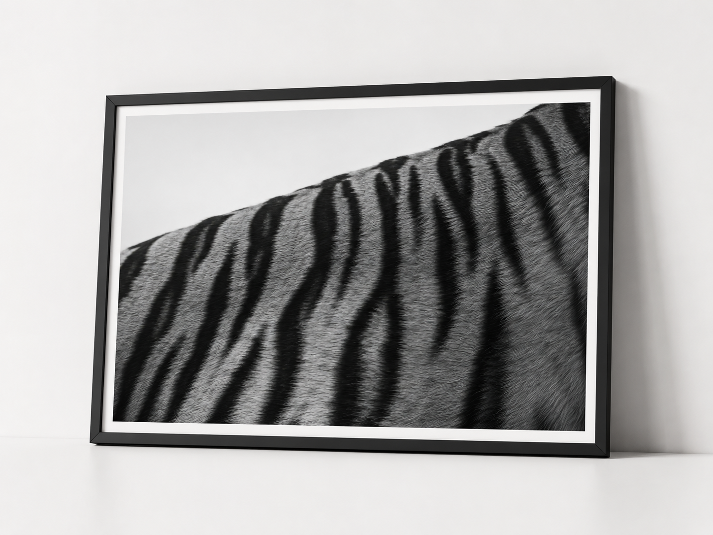 The Tigers Pattern